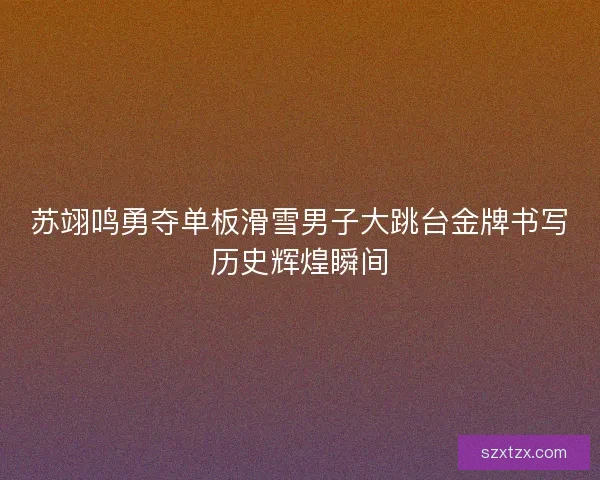 苏翊鸣勇夺单板滑雪男子大跳台金牌书写历史辉煌瞬间