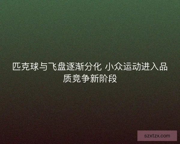 匹克球与飞盘逐渐分化 小众运动进入品质竞争新阶段