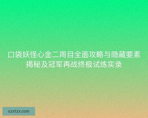 口袋妖怪心金二周目全面攻略与隐藏要素揭秘及冠军再战终极试炼实录